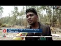 tortoises and snakes died in fire at azheekal beach in kannur azhikkal beach fire breaks out