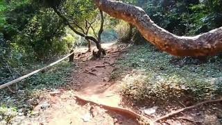 கொல்லிமலை அடர்ந்த வனப்பகுதியில் நடை பயணம் | kolli hills | forest | adventure | periyasamy temple way