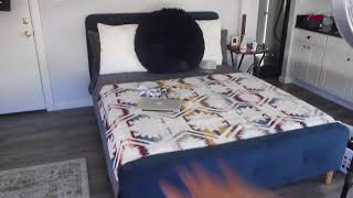 Los Angeles (East Hollywood) 350 Sq. Ft. Studio Apartment Tour