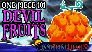 Devil Fruits Explained (One Piece 101)