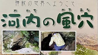 【観光スポット】滋賀県指定天然記念物そこには神秘の世界がある