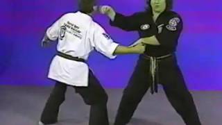 IKKI American Kenpo Purple Belt - 13 - Raining Claw