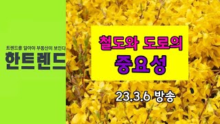 철도와 도로의 중요성. 한트렌드 3월 6일 방송