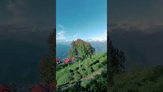 Ahaldara view point #shorts #vairal #vairalshort #darjeelingtourism #sittong #hillstation