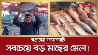 বগুড়ার গাবতলীতে চলছে ঐতিহ্যবাহী পোড়াদহ মেলা | Fish Fair | Bogura | Desh TV