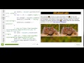Creating elements from scratch | Computer Programming | Khan Academy