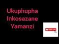 Ukuphupha inkosazane yamanzi | Sichaza amaphupho