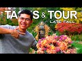 Late Fall Garden Tasks, Tour, Tips for Beautiful Flowers