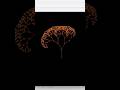 Amazing Fractal Tree Design Using Python Turtle🐢 | Python Turtle #python #shortsfeed #turtle #viral