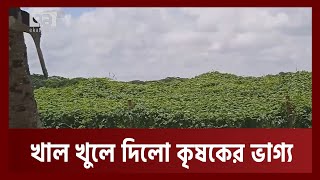 খাল খননে পাল্টে গেছে কলাপাড়ার চিত্র | Patuakhali | News | Ekattor TV