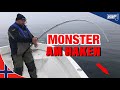 Monster am Haken | Angeln in Norwegen auf Heilbutt | XXL-Fisch an der Rute | Anglerboard TV