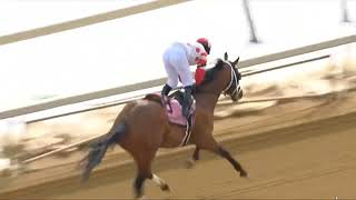 Aqueduct, Race 1 | 06 Feb 2026