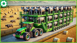 Transporting Millions of Buffalo This Way - The Biggest Heavy Machinery | Agriculture Technology