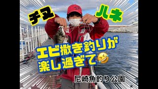 エビ撒き釣りでハネやチヌ連発！尼崎魚つり公園　fishingmax武庫川店