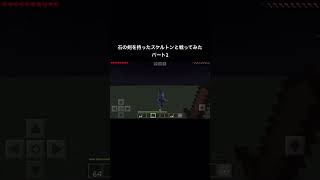 石の剣を持ったスケルトンと戦ってみたパート2 #minecraft #マインクラフト