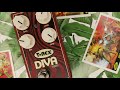 T-Rex: Diva Drive - On Bass | Amateur Effects Reviews