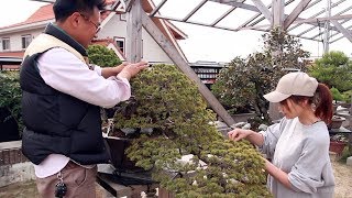 Mori Tomomi and Yusuke Uchida's Bonsai garden