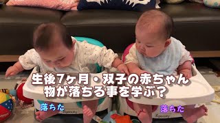 【男女ふたごの赤ちゃん】生後7ヶ月・色々なおもちゃで遊ぶ！【育児Vlog】