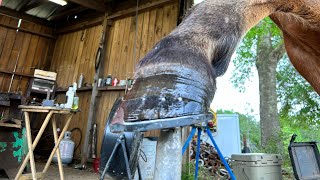 Shoeing champ with plainstamp handmade shoes