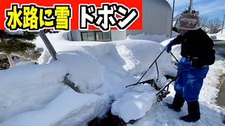 【ドボン】2025-01-19（日）雪と水と最強スノーダンプ吉鉄！気持ちいい流れ！水の音で癒される！武七の除雪・雪かき日記　snow removal ASMR