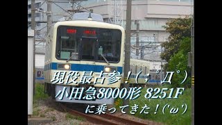 【現役最古参】小田急8000形 8251Fに乗ってきた！