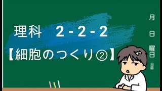 中学 理科222【細胞のつくり②】