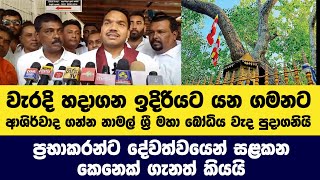 වැරදි හදාගන ඉදිරියට යන ගමනට ආශිර්වාද ගන්න නාමල් ශ්‍රී මහා බෝධිය වැද පුදාගනියි