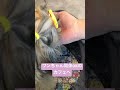 シーズー犬🐶ポロンちゃんカフェへ✨