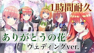 ありがとうの花ウェディングver./五等分の花嫁(1時間耐久、作業用BGM)