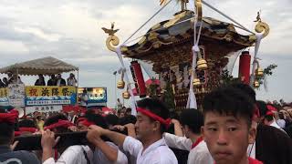 平成29年 茅ヶ崎海岸 暁の祭典 浜降祭 鶴嶺4社 揃い踏み