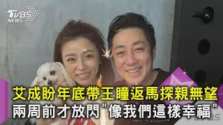 艾成盼年底帶王瞳返馬探親無望...兩周前才放閃「像我們這樣幸福」｜TVBS新聞