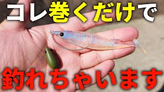 この時期のキジハタはこれで一撃！堤防から巻くだけで魚が飛びついてくる必殺リグを教えます。