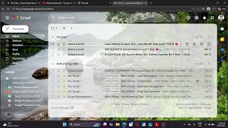 MVA Online Email Management
