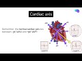 how to read an ecg ecg interpretation ekg osce guide ukmla cpsa plab 2