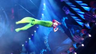 リトルマーメイド アリエルのショー。disney sea little mermaid show.