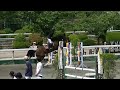 第４３回東京都馬術大会　第１４競技　東京障碍９０　三年　竹内莉咲　セレブウィーク