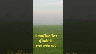 นิสัยผู้ใหญ่ใครยู่ไกล้ก็รัก#ทุ่งนาเขียวขจี#subscribe #shortvideo #