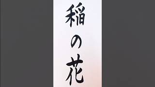 【稲の花】#shorts #shodo #calligraphy