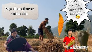 Aaja hamro dhan jhati sakeko hai t !!!! village vlog 😊🤗