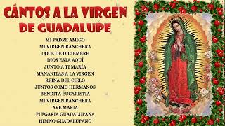 Los Berrenditos Cantos y Alabanzas a la Virgen de Guadalupe🙏Cántos a la virgen de Guadalupe🙏
