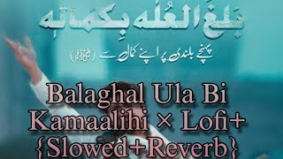 Balaghal Ula Bi Kamaalihi × Lofi+ {Slowed+Reverb} | Ali Zafar | Naat...