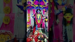 আবার এসো মা ।। জয় মা বোল্লা কালী।। Joy Maa Bolla kali।। #B Bhuimali Vlog