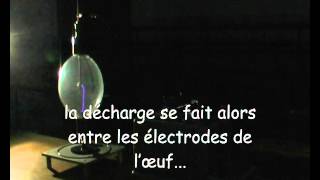 L' oeuf électrique