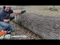 How To Chainsaw Like a Boss. This Could Save Your Life