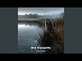 Bird Tranquility: Calm and Soothing Bird Sounds, Pt.20