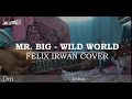 Mr. Big - Wild World / Felix Irwan Cover (Guitar Chords)