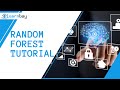Random Forest tutorial - Machine Learning