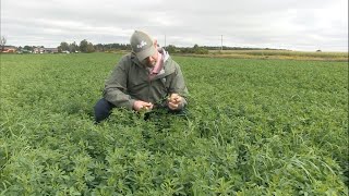 Soil School: Combining soil health with nutrition for higher yield