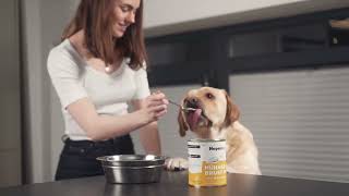 Hypoallergenes Hundefutter \u0026 seltene Sorten für sensible Hunde | Hopey's