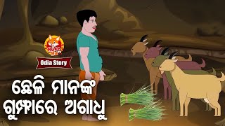 Chheli Mananka Gumpha Re Agadhu  - ଛେଳି ମାନଙ୍କ ଗୁମ୍ଫାରେ ଅଗାଧୁ | Odia Moral Story | Huke Hu TV